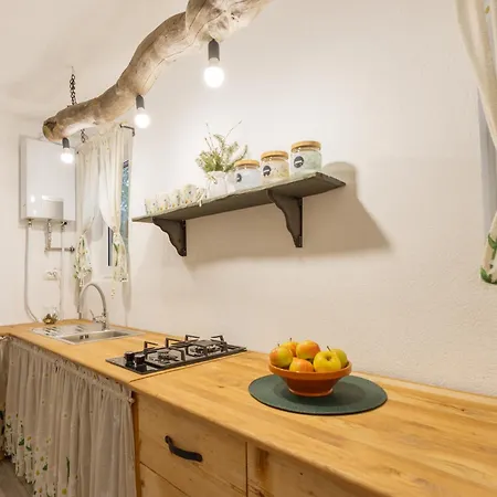 Srckova Koca Holiday home